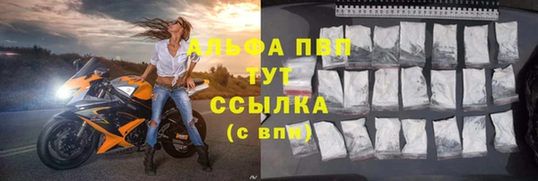индика Белоозёрский