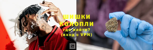 индика Белоозёрский