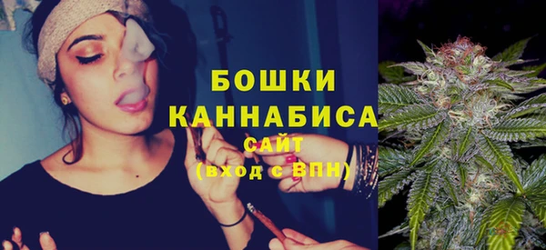 индика Белоозёрский