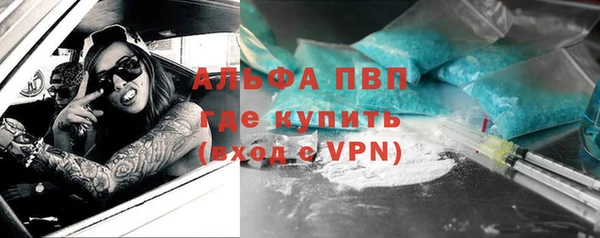 индика Белоозёрский