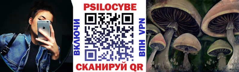 Галлюциногенные грибы мухоморы как найти Светлогорск
